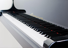 钢琴维修过程中对杂音的处理方法